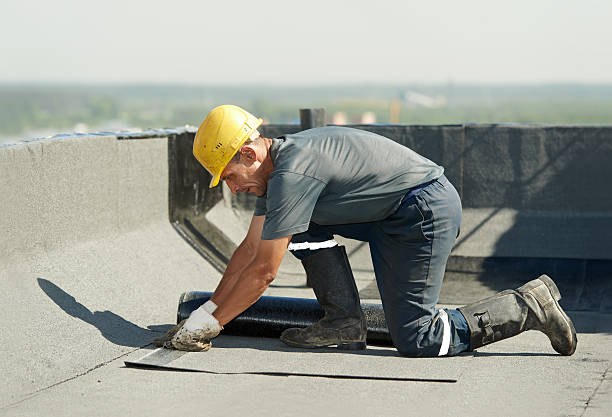 Best Spray Foam Insulation  in Omaha, NE