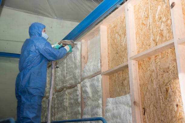 Best Insulation Contractors for Homes  in Omaha, NE