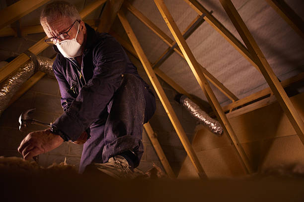 Best Spray Foam Insulation  in Omaha, NE